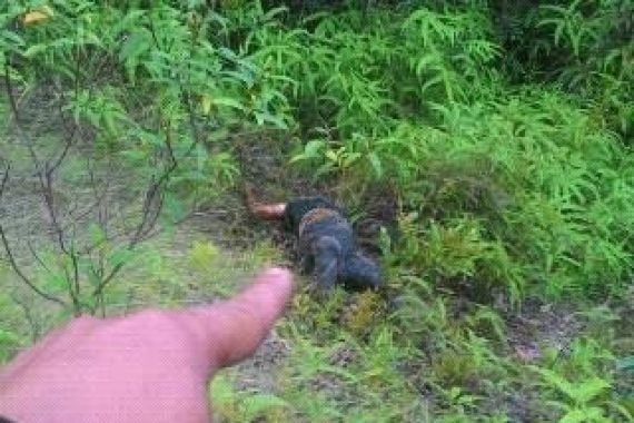 Wanita Dibunuh (Lagi) di Batam, Mayat Ditemukan Di Hutan Bukit Harimau - JPNN.COM