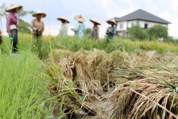 Perkuat Ketahanan Pangan, Kadin Geber Jakarta Food Security Summit - JPNN.COM