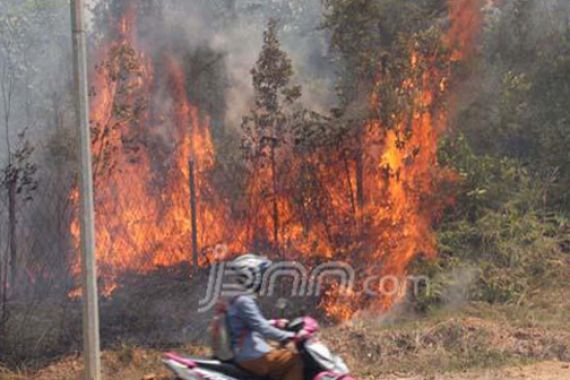 DPR Curiga Ada Pihak Mendesain Kebakaran Hutan - JPNN.COM