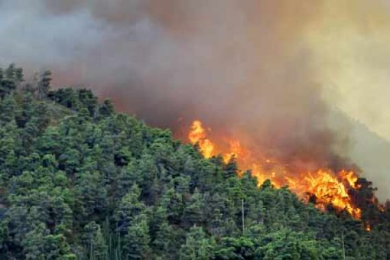 Api Unggun Pendaki Diduga Sebabkan Kebakaran Gunung Lawu - JPNN.COM
