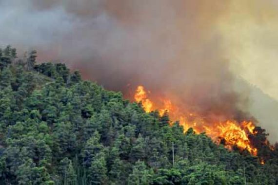 Ngawurr.. HGU PT SMP Kedaluwarsa, Nekat Beroperasi, Kini Diduga Bakar Lahan - JPNN.COM