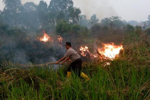 Padamkan Kebakaran Hutan, Pramuka Dapat Jempol dari Rusia dan Jepang - JPNN.COM