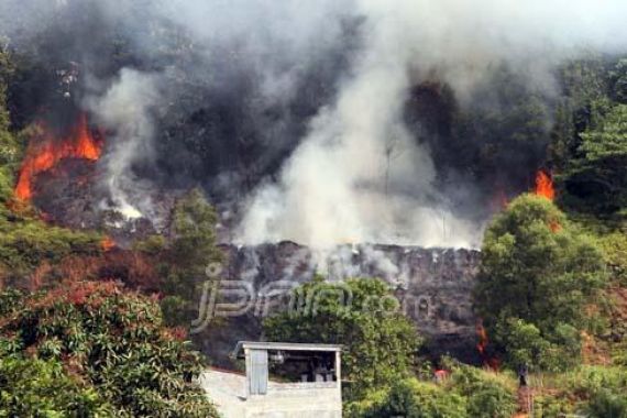 Walhi: Jokowi Menyerahkan Penyelesaian Kebakaran Hutan kepada Hujan.. hihihi - JPNN.COM