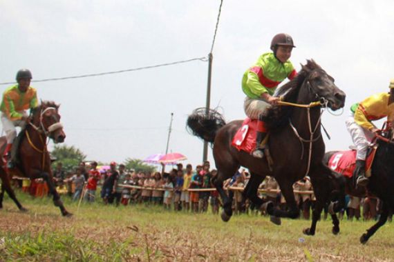 Lestarikan Warisan Budaya, Ratusan Joki Ikut Kejuaraan Berkuda - JPNN.COM