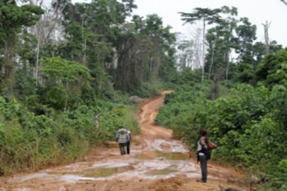 Waduhhh... Beraatt... 1.118.032 Hektare Hutan di Kaltim Rusak - JPNN.COM