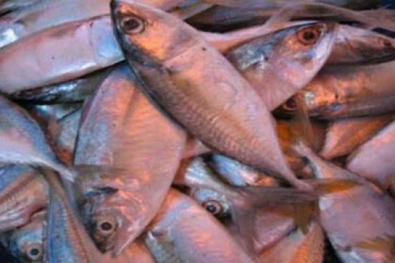 Wuihh... Warga Kaltim Hobi Makan Ikan, Kalahkan Tingkat Nasional - JPNN.COM