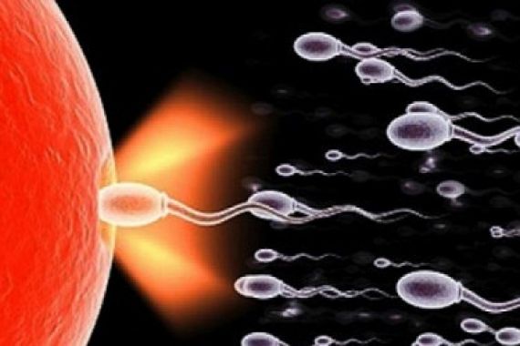 Hal Lain Tentang Sperma, Khusus Pria, Wanita Jangan Klik! - JPNN.COM