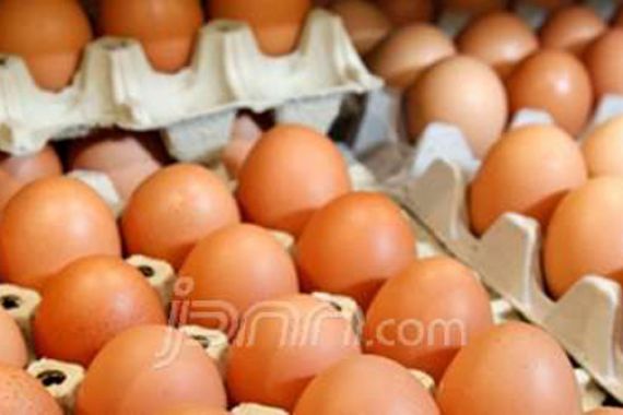 Jelang Natal, Harga Telur Ayam Naik Segini - JPNN.COM