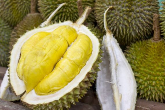 Saksikan dan Rasakan! Kontes Durian Rancamaya 1-22 Januari - JPNN.COM