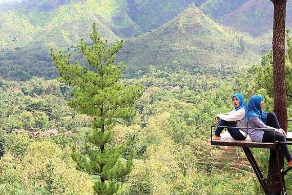 Ayo Nikmati Pemandangan Eksotis di Gunung Beruk dari Ketinggian Pohon Pinus - JPNN.COM