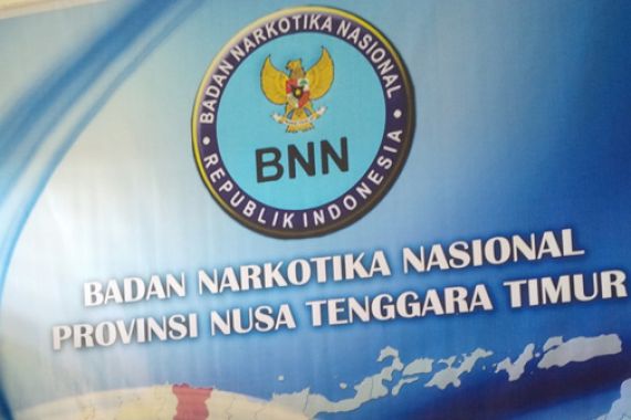 Razia Pengguna Narkoba 2015: Oknum Pilot, TNI, dan Mahasiswa Terbukti! - JPNN.COM