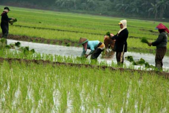 Begini Pemerintah Vietnam Tingkatkan Kesejahteraan Masyarakat Desa - JPNN.COM