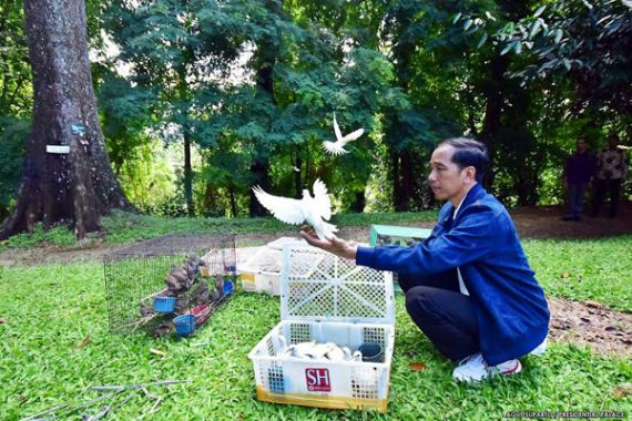 Lihat..Jokowi Lepas Burung di Bogor - JPNN.COM