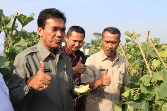 Keren Banget! Program Bupati Kudus Dipilih Jokowi jadi Pilot Project - JPNN.COM