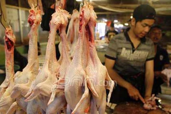 Ada Apa Nih, Harga Daging Ayam Kok Nggak Turun - JPNN.COM
