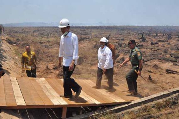 Inilah Sosok Aktivis Lingkungan yang Dipilih Jokowi jadi Kepala BGR - JPNN.COM