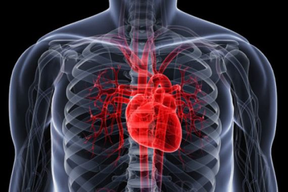 3 Tips Mudah Cegah Serangan Jantung - JPNN.COM