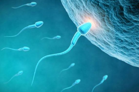 Apakah Aman Menelan Sperma? Ini Penjelasan Dokter - JPNN.COM