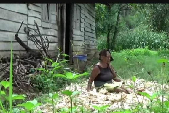 Tolong, Nenek Hidup Sebatang Kara di Hutan, Telinga Dimakan Belatung - JPNN.COM