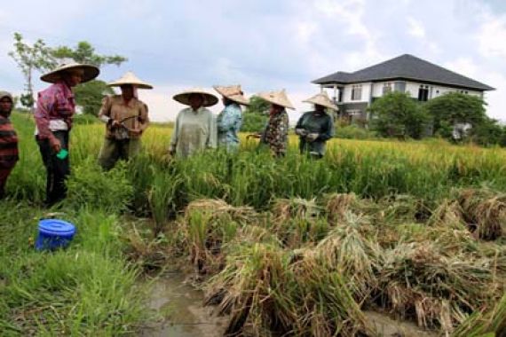 Kasihan, Pendamping Desa di Jambi 2 Bulan Tak Digaji - JPNN.COM