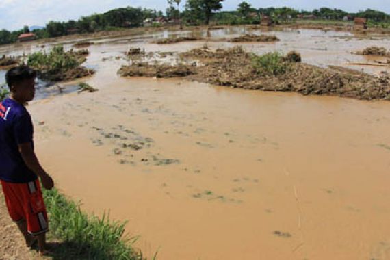 Sawah Tergenang, Petani Pilih Mancing - JPNN.COM