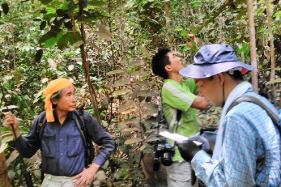 Ilmuwan Jepang Temukan 20 Spesies Tanaman Baru di Siak - JPNN.COM