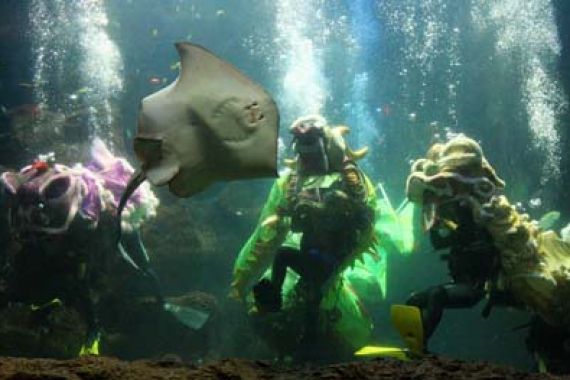 Liburan Paskah, Yukkâ€¦ ke Sea World Ancol, Ada Wisata Edukasi Penyu - JPNN.COM