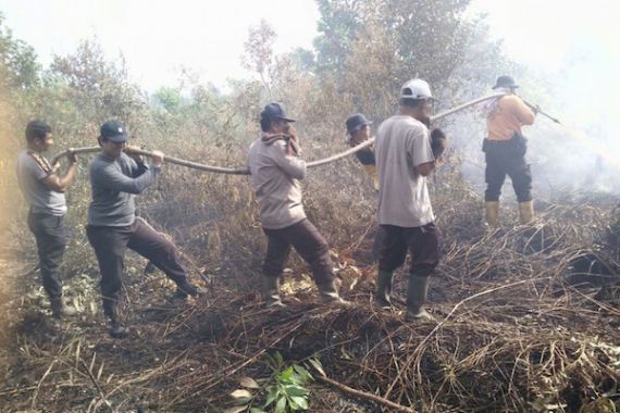 15 Hektar Lahan Sawit Hangus, Sengaja Dibakar? - JPNN.COM