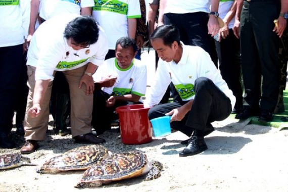 Lihat Foto Ini, Pak Jokowi Melepas 200 Ekor Penyu Sisik - JPNN.COM