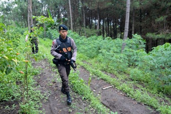 Indentitas Dua Anggota Santoso yang Tewas Masih... - JPNN.COM