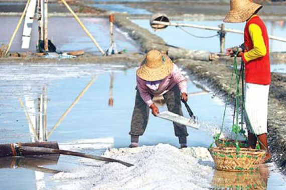 Petani Garam Semakin Resah - JPNN.COM