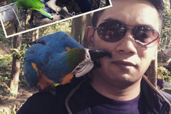 Gara-Gara Burung, Ridwan Kamil Ikut Sindir Si Duta Cubit - JPNN.COM