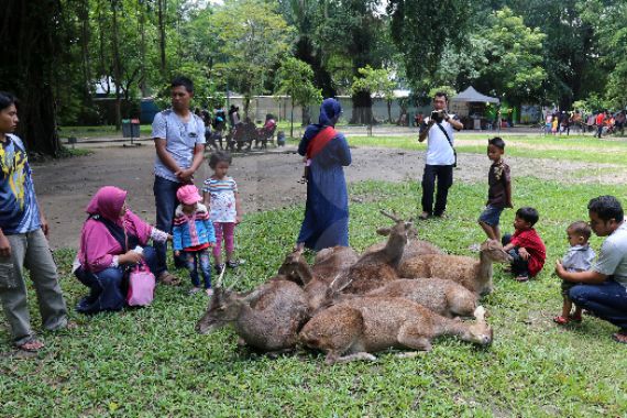 Balekambang Solo Pun Jadi Destinasi Wisata Khas di Pesona Lebaran - JPNN.COM