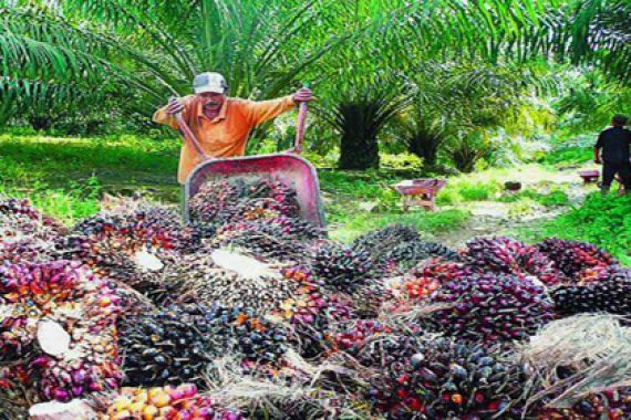 Golden Agri Resources Dukung Industri Sawit Berkelanjutan - JPNN.COM