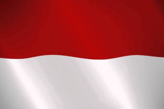 Horee... Indonesia Tak Perlu Berjuang dari Kualifikasi - JPNN.COM