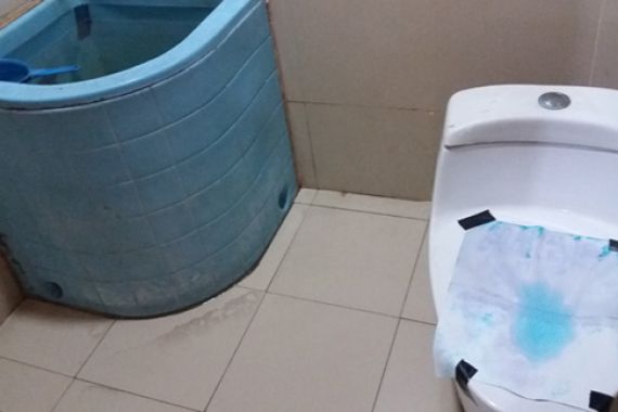 Gedung DPRD DKI: Megah, tapi Toiletnya Seperti di Terminal - JPNN.COM