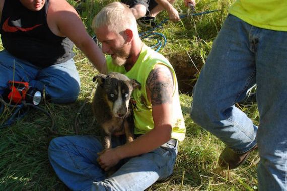 Heboh! Petugas Selamatkan Anjing Terjebak di Lubang Sedalam 9 Meter - JPNN.COM
