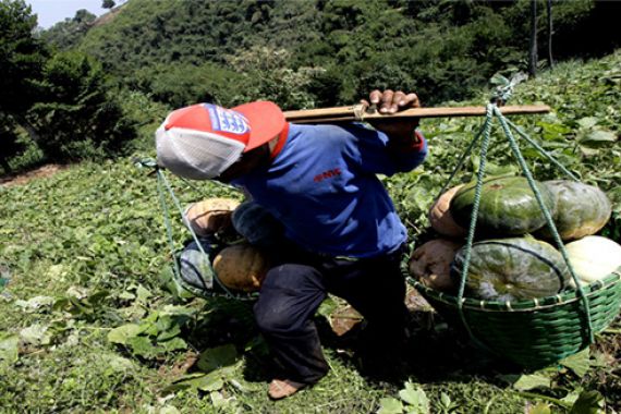 Keren! Petani Kabupaten Bandung Kian Mantap Rambah Pasar Internasional - JPNN.COM