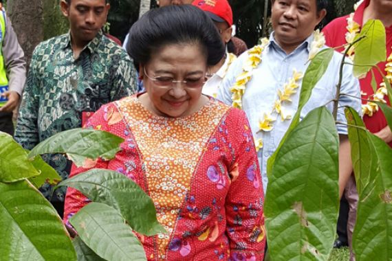 Megawati dan Belasan Dubes Antusias Tanam Pohon di Kebun Raya Bedugul - JPNN.COM