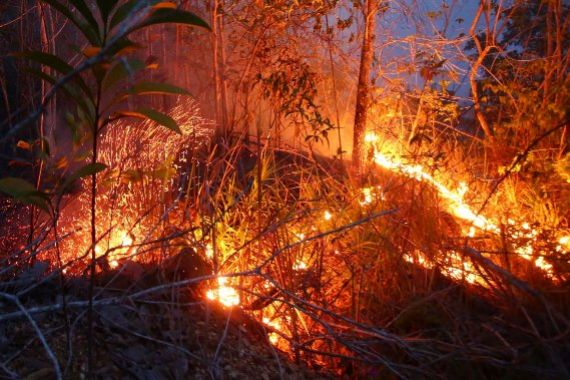 232 Titik Api Tersebar di Sumatera dan Kalimantan - JPNN.COM