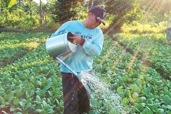 Salut! Polisi Ini Rela Berkebun, Sisihkan Gaji demi Bangun Musala - JPNN.COM