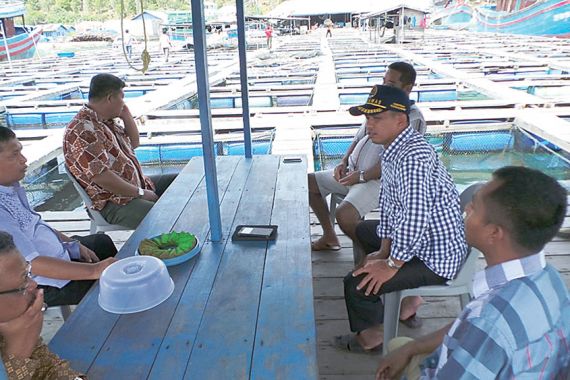 Menjanjikan, Nelayan Didorong Budiaya Ikan Seharga Rp 1 Juta Per Ekor Ini - JPNN.COM