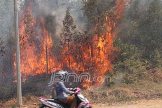 Wilayah Indonesia Masih Dikepung 242 Titik Api - JPNN.COM