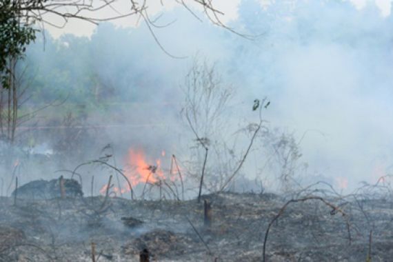Harap Tenang, Kebakaran Hutan Diprediksi Menurun - JPNN.COM