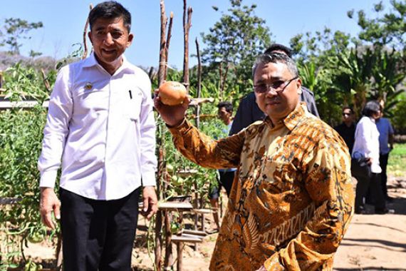 Desa Diberdayakan, Indonesia Bisa Jadi Produsen Pangan Terbesar - JPNN.COM