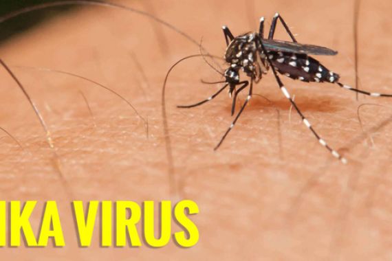 Antisipasi Penyebaran Virus Zika, ini yang Dilakukan Kemenhub - JPNN.COM
