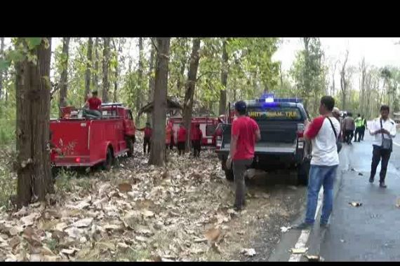 Lahâ€¦Pelaku Pembakar Hutan Baluran Ternyata Orang Gila - JPNN.COM