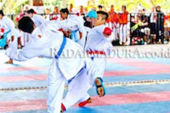 TOP! Tim Karate SMP Berjaya di Swiss - JPNN.COM