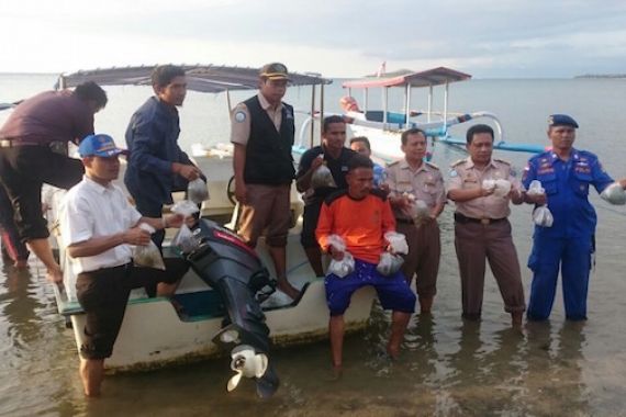 GAWAT! Lobster, Sirip Hiu, dan Karang Diselundupkan dari Lombok ke Bali - JPNN.COM