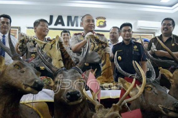Duh! Oknum TNI dan Polri Juga Terlibat Perdagangan Satwa Langka - JPNN.COM